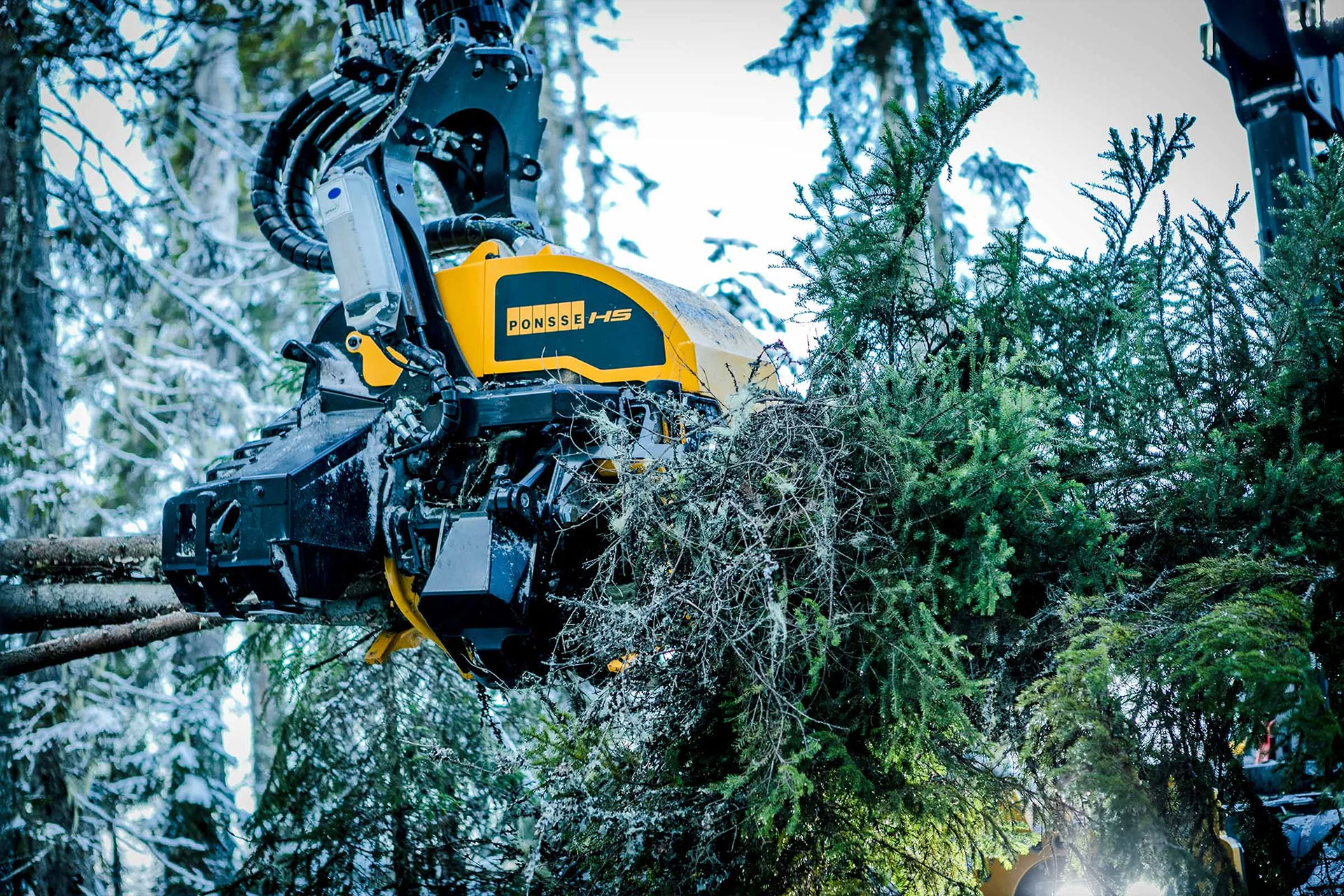 PONSSE H5 ハーベスタヘッド