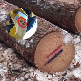 PONSSEカラーマーキングキット